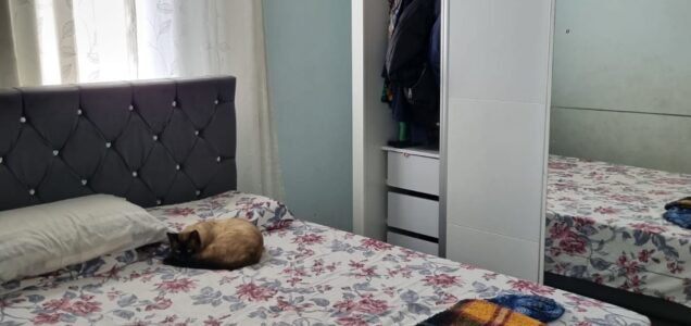 foto 15